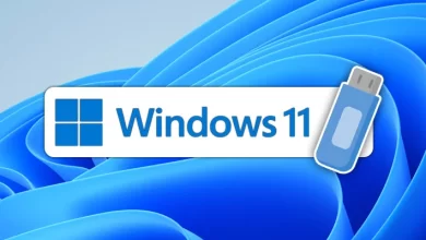 windows 11