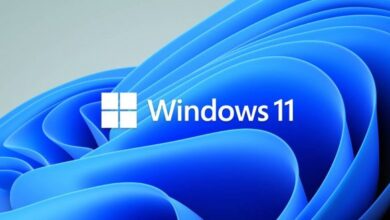windows11 585x329 1